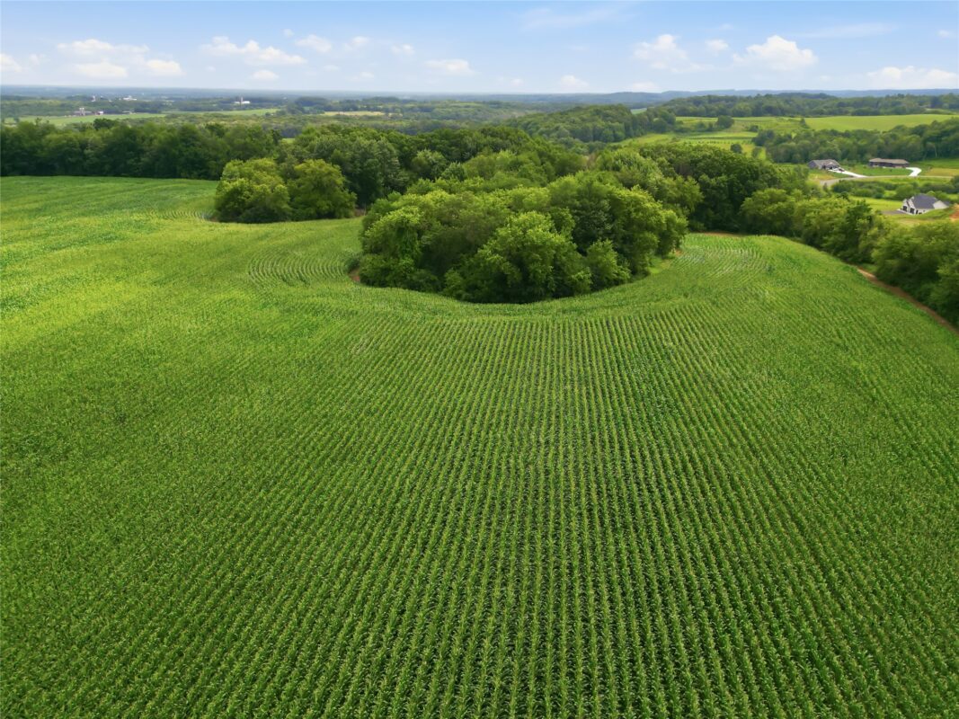 40 Acres 180th Street, Chippewa Falls WI 54720 - Land house for sale - MLS #1603422 - image18