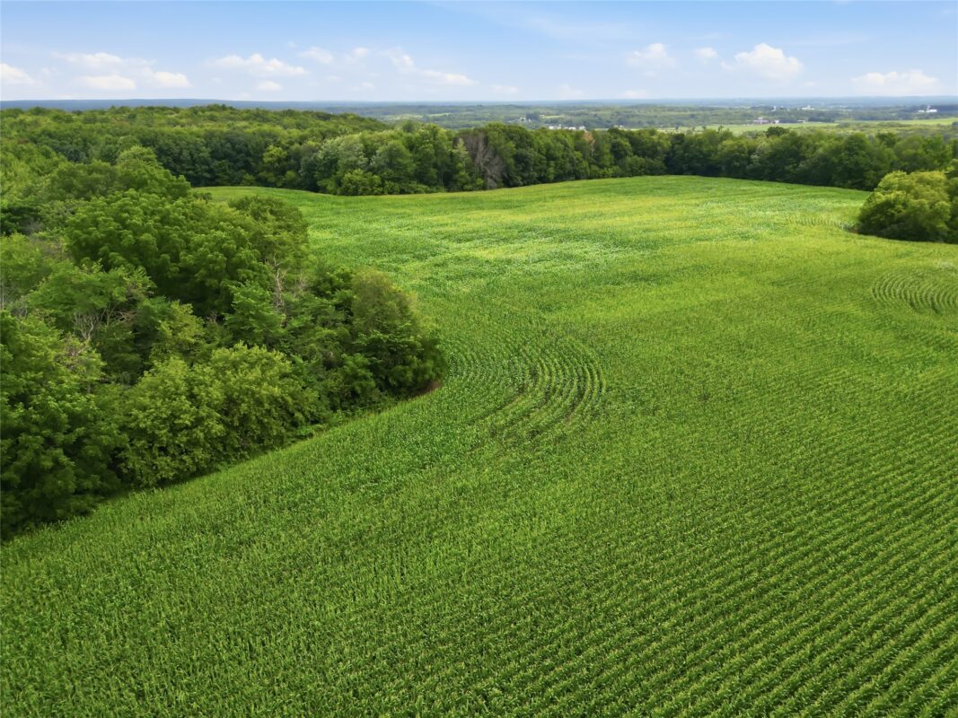 40 Acres 180th Street, Chippewa Falls WI 54720 - Land house for sale - MLS #1603422 - image19