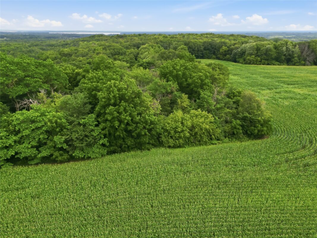 40 Acres 180th Street, Chippewa Falls WI 54720 - Land house for sale - MLS #1603422 - image20