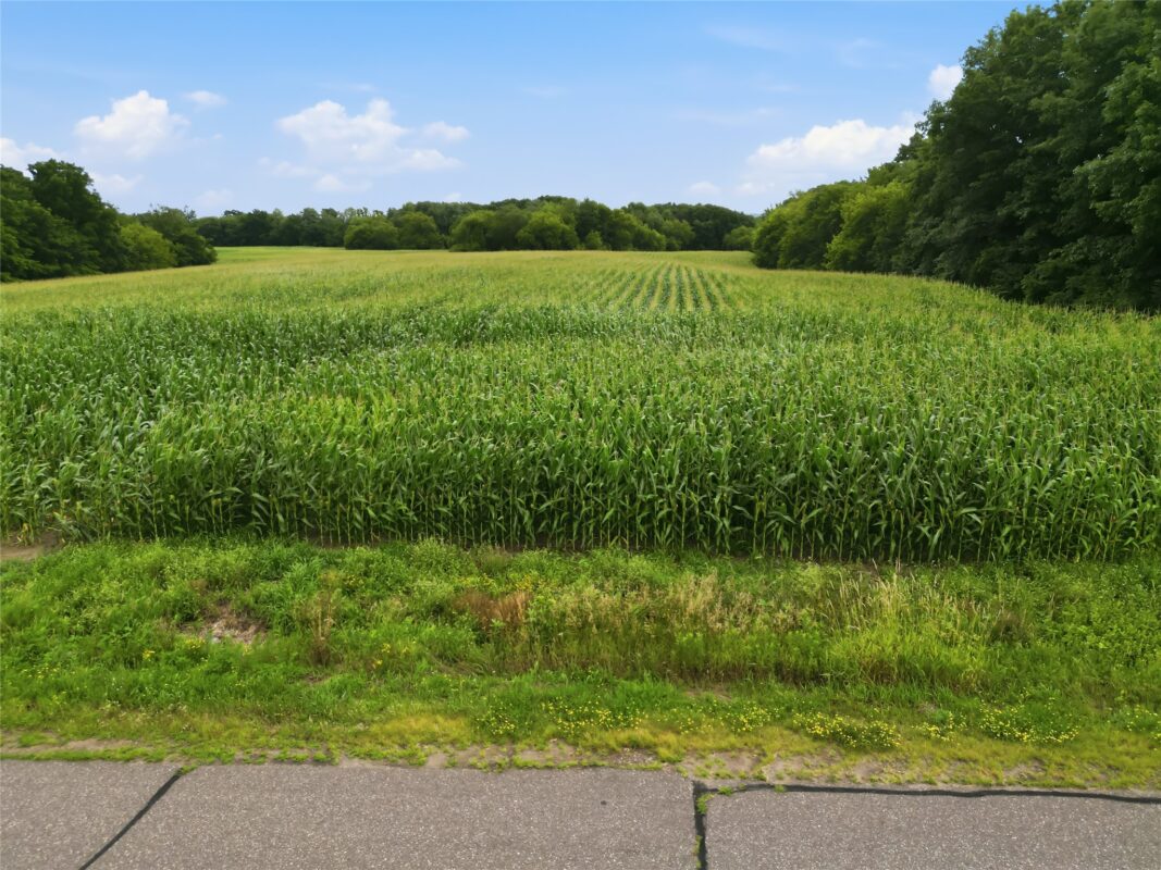 40 Acres 180th Street, Chippewa Falls WI 54720 - Land house for sale - MLS #1603422 - image21