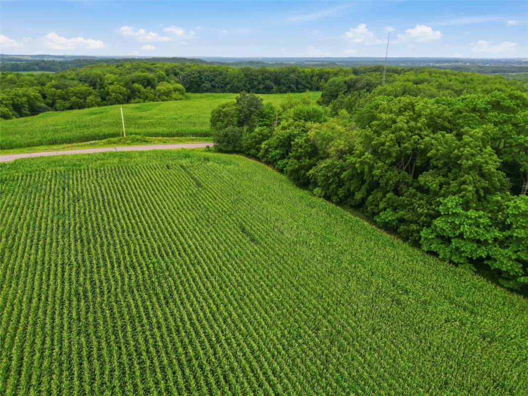 40 Acres 180th Street, Chippewa Falls WI 54720 - Land house for sale - MLS #1603422 - image22