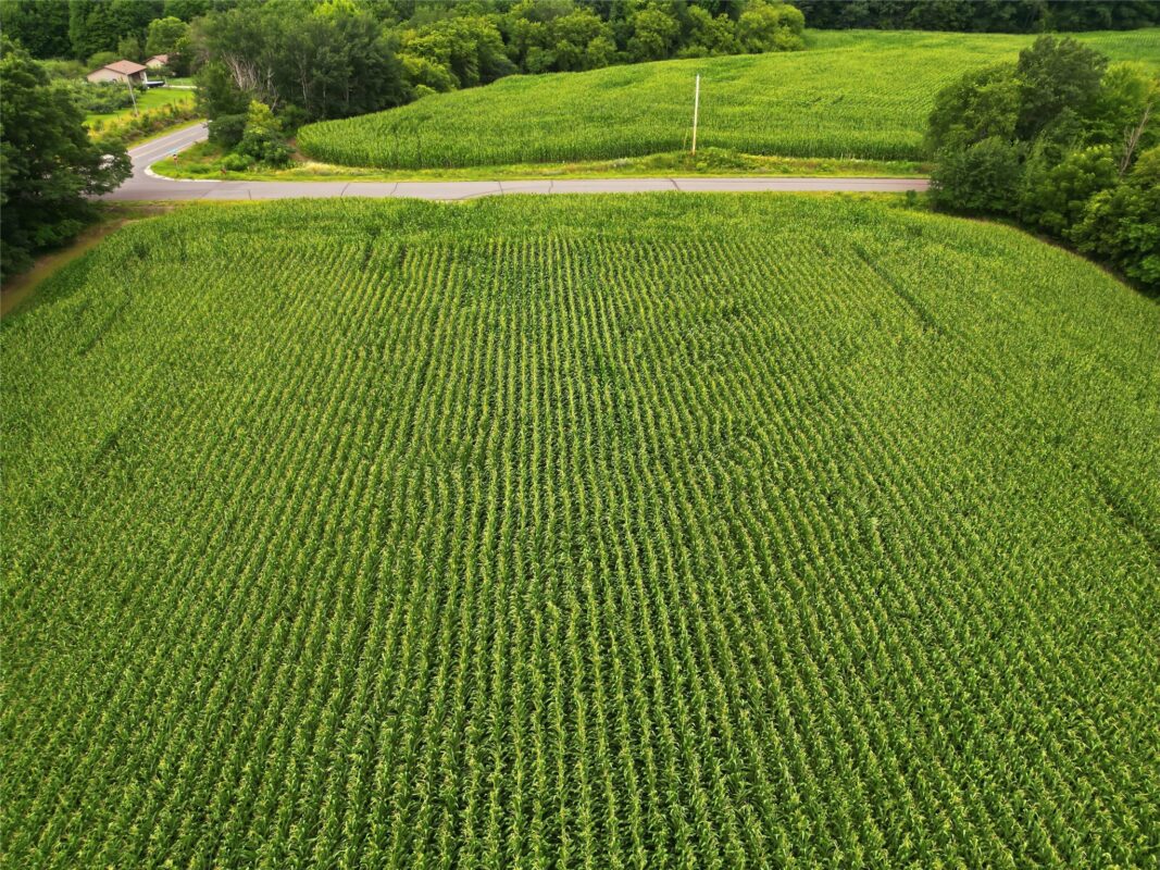 40 Acres 180th Street, Chippewa Falls WI 54720 - Land house for sale - MLS #1603422 - image23