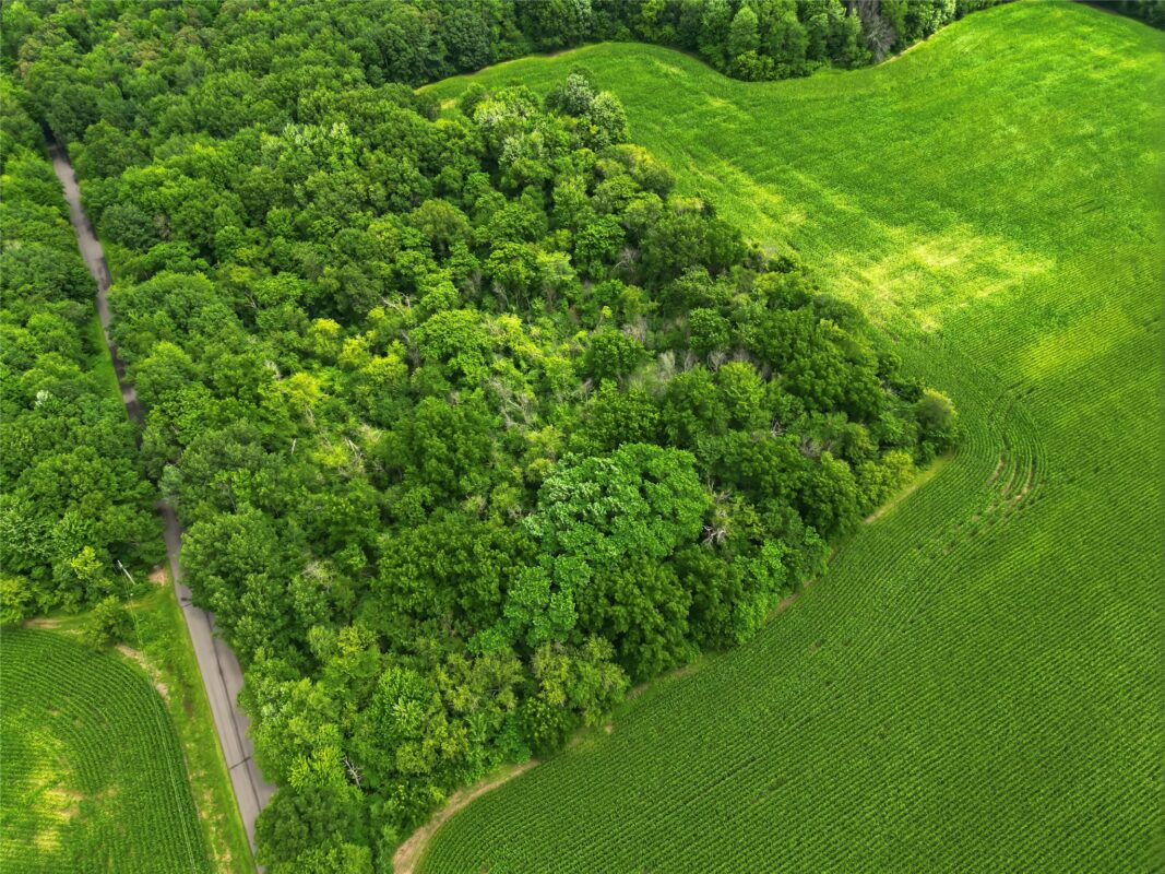 40 Acres 180th Street, Chippewa Falls WI 54720 - Land house for sale - MLS #1603422 - image26