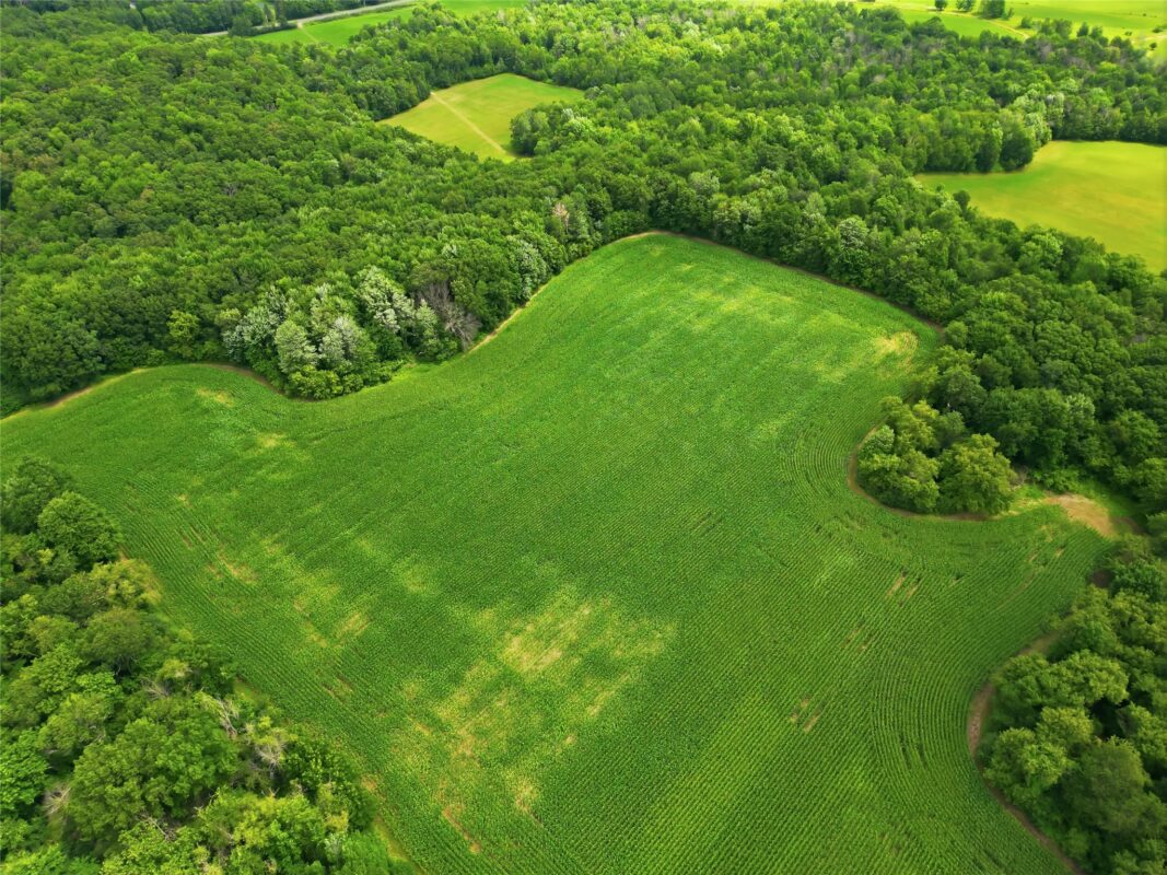 40 Acres 180th Street, Chippewa Falls WI 54720 - Land house for sale - MLS #1603422 - image27