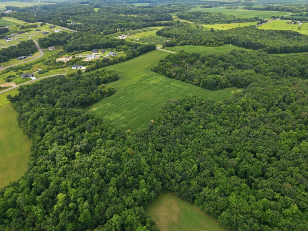 40 Acres 180th Street, Chippewa Falls WI 54720 - Land house for sale - MLS #1603422 - image30