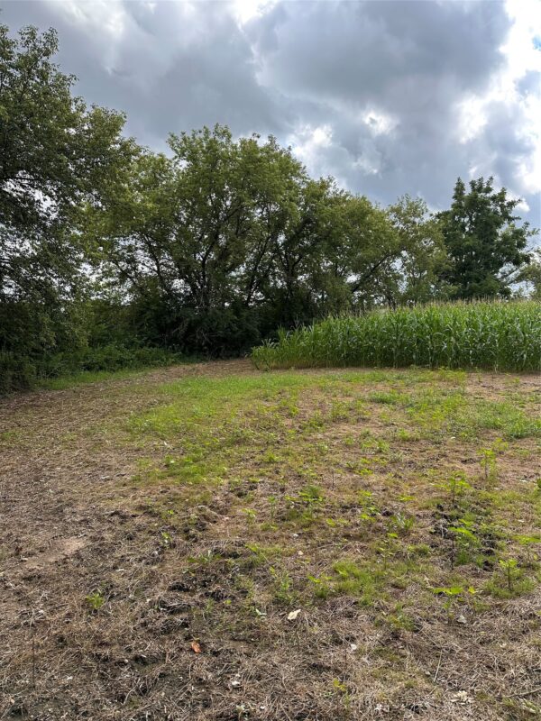 40 Acres 180th Street, Chippewa Falls WI 54720 - Land house for sale - MLS #1603422 - image4