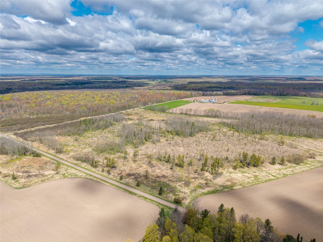 40 Acres Anderson Road & School Road, Glen Flora WI 54526 - Land house for sale - MLS #1601150 - image5
