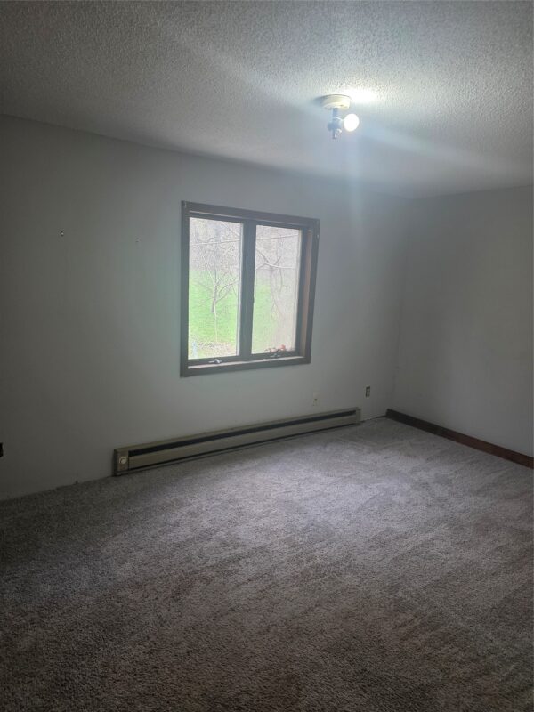 408 Main Street, Plum City WI 54761 - ResidentialIncome house for sale - MLS #1600537 - image6