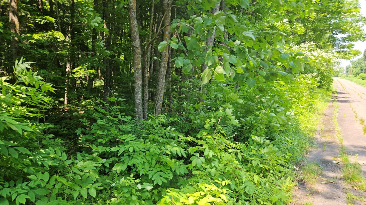 4687 Valesh Road, Couderay WI 54828 - Land house for sale - MLS #1602810 - image3