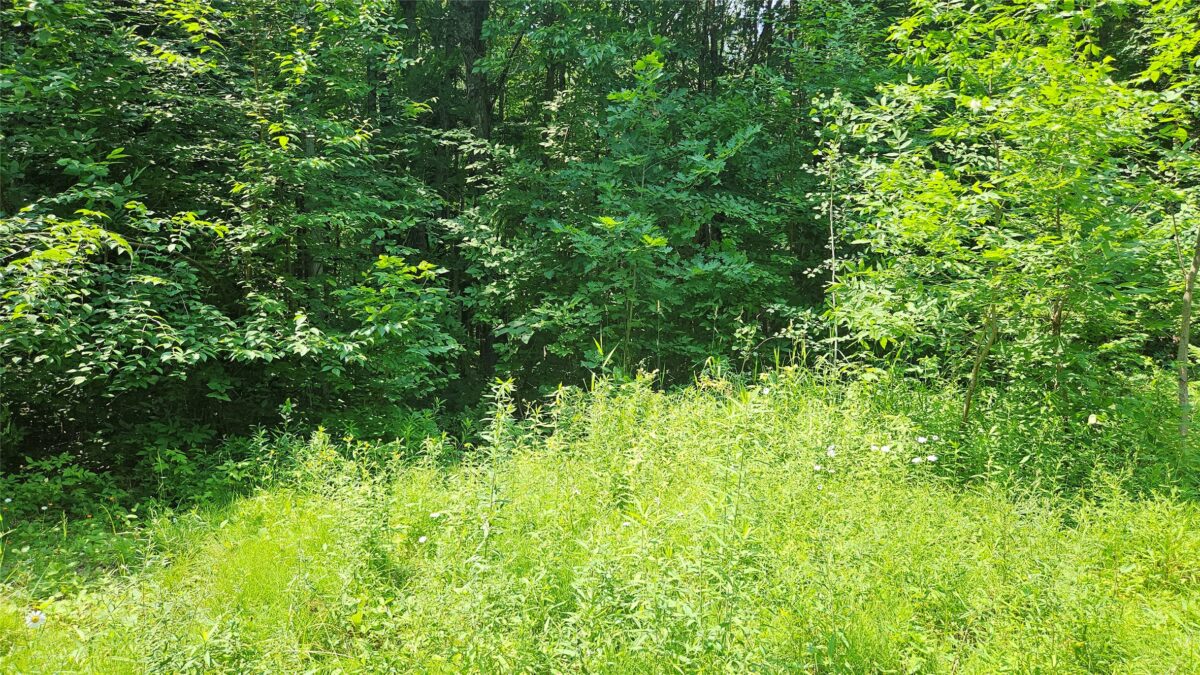 4687 Valesh Road, Couderay WI 54828 - Land house for sale - MLS #1602810 - image10