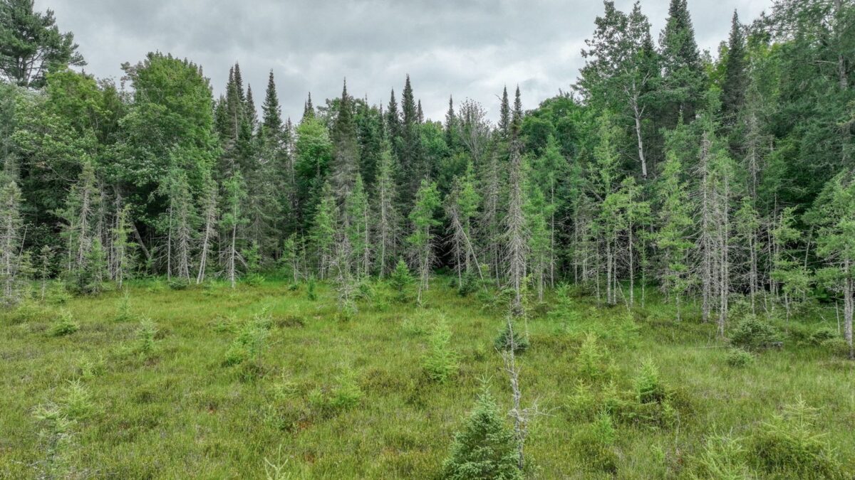 4E Twin Lake Road, Hayward WI 54843 - Land house for sale - MLS #1603343 - image11