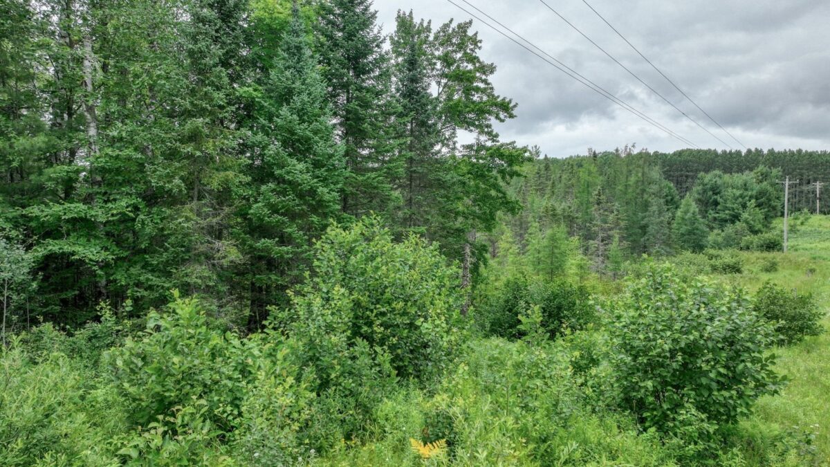 4E Twin Lake Road, Hayward WI 54843 - Land house for sale - MLS #1603343 - image12