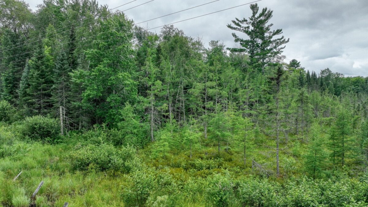 4E Twin Lake Road, Hayward WI 54843 - Land house for sale - MLS #1603343 - image13