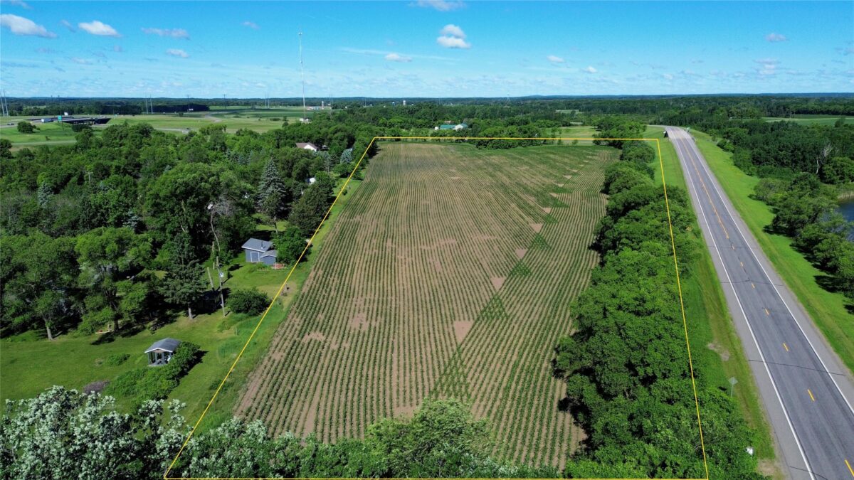 5320 County Road 6, Other MN 56301 - Land house for sale - MLS #1602329 - image2