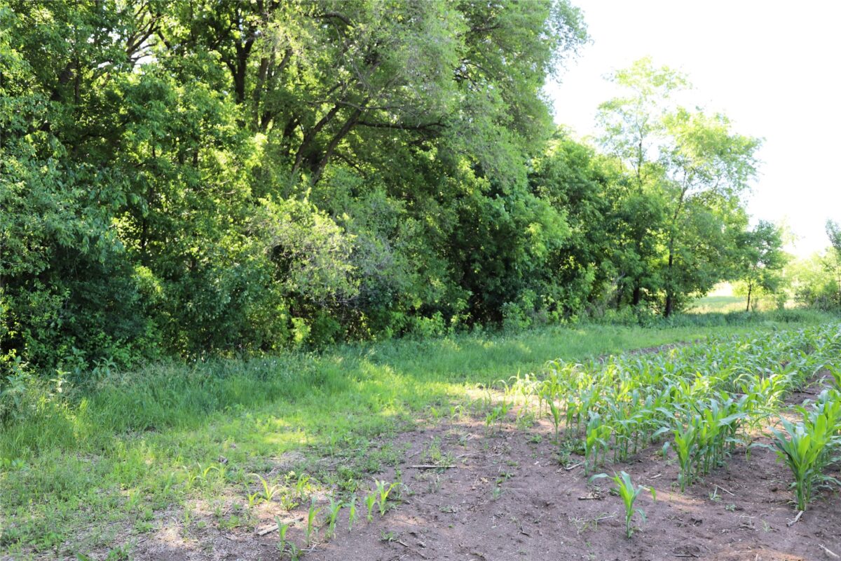 5320 County Road 6, Other MN 56301 - Land house for sale - MLS #1602329 - image11