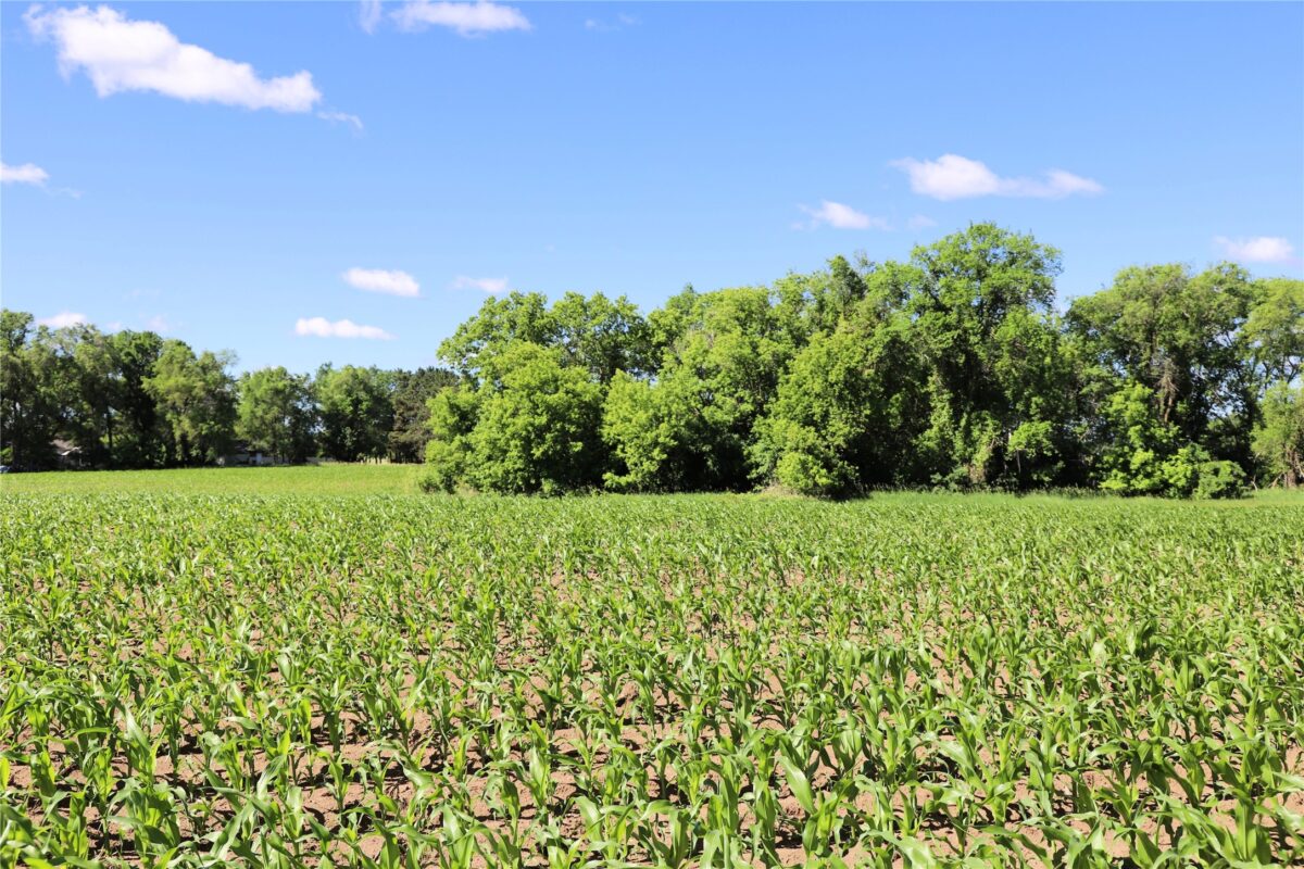 5320 County Road 6, Other MN 56301 - Land house for sale - MLS #1602329 - image15