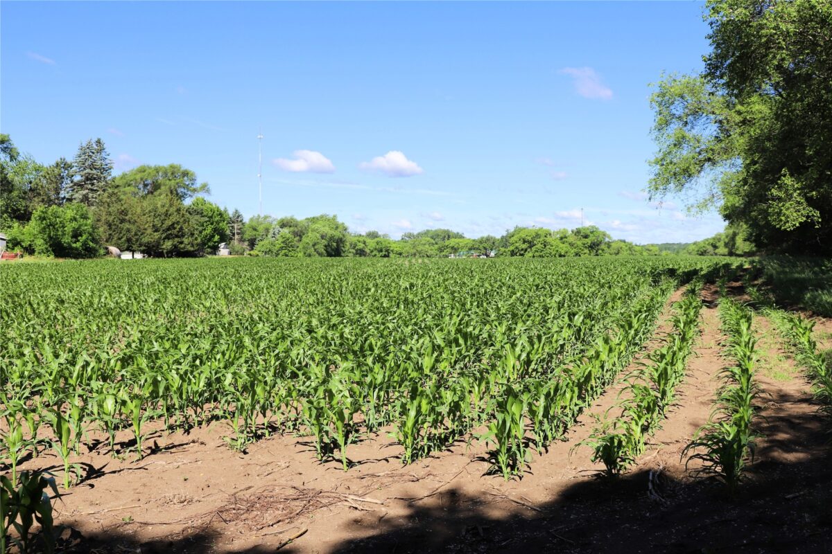 5320 County Road 6, Other MN 56301 - Land house for sale - MLS #1602329 - image9