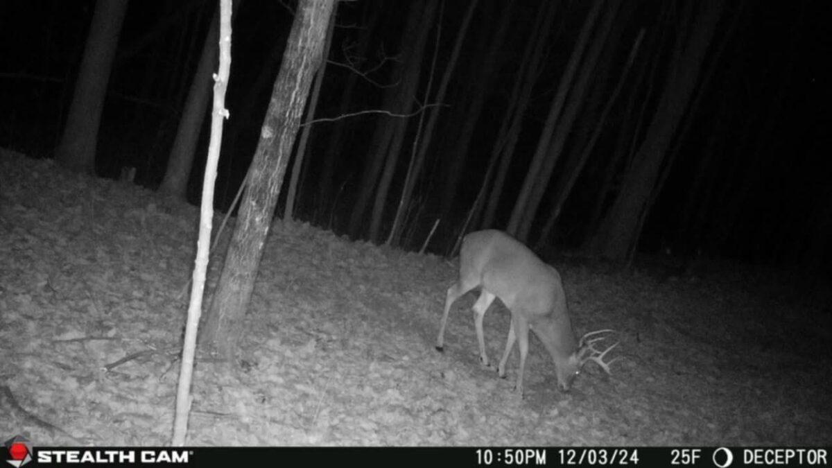 570th 570th Avenue, Menomonie WI 54751 - Land house for sale - MLS #1603171 - image23