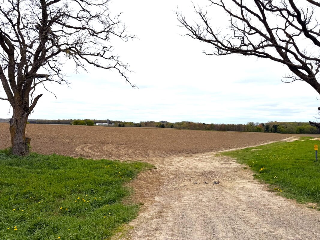 60 acres Pole Grove Road, Hixton WI 54635 - Land house for sale - MLS #1600886 - image2