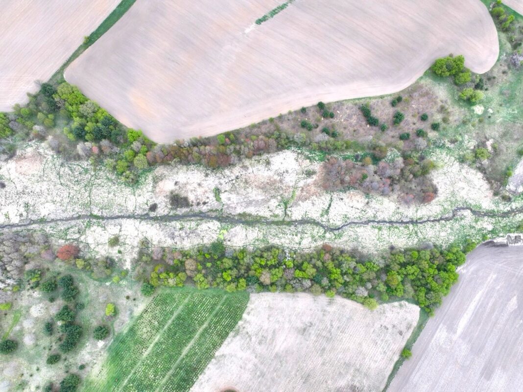 60 acres Pole Grove Road, Hixton WI 54635 - Land house for sale - MLS #1600886 - image11