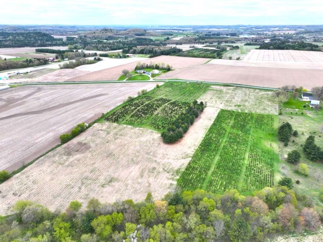 60 acres Pole Grove Road, Hixton WI 54635 - Land house for sale - MLS #1600886 - image12