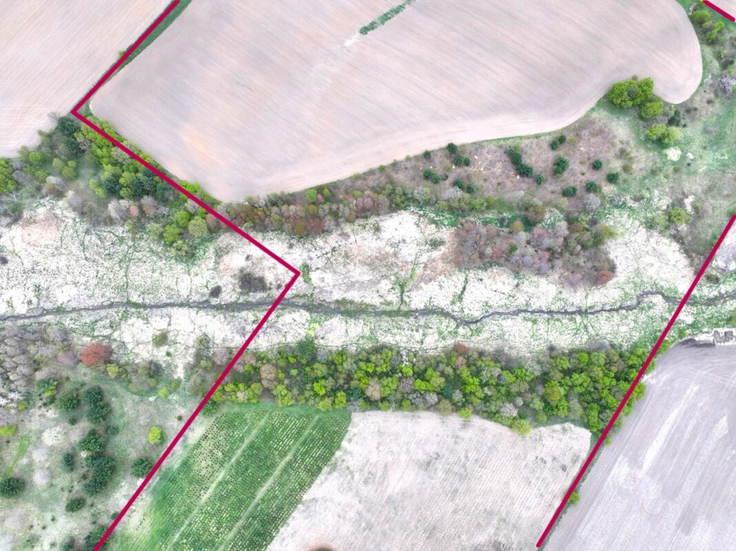 60 acres Pole Grove Road, Hixton WI 54635 - Land house for sale - MLS #1600886 - image13