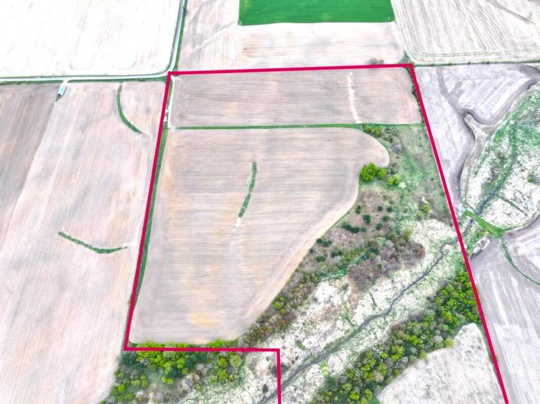 60 acres Pole Grove Road, Hixton WI 54635 - Land house for sale - MLS #1600886 - image3