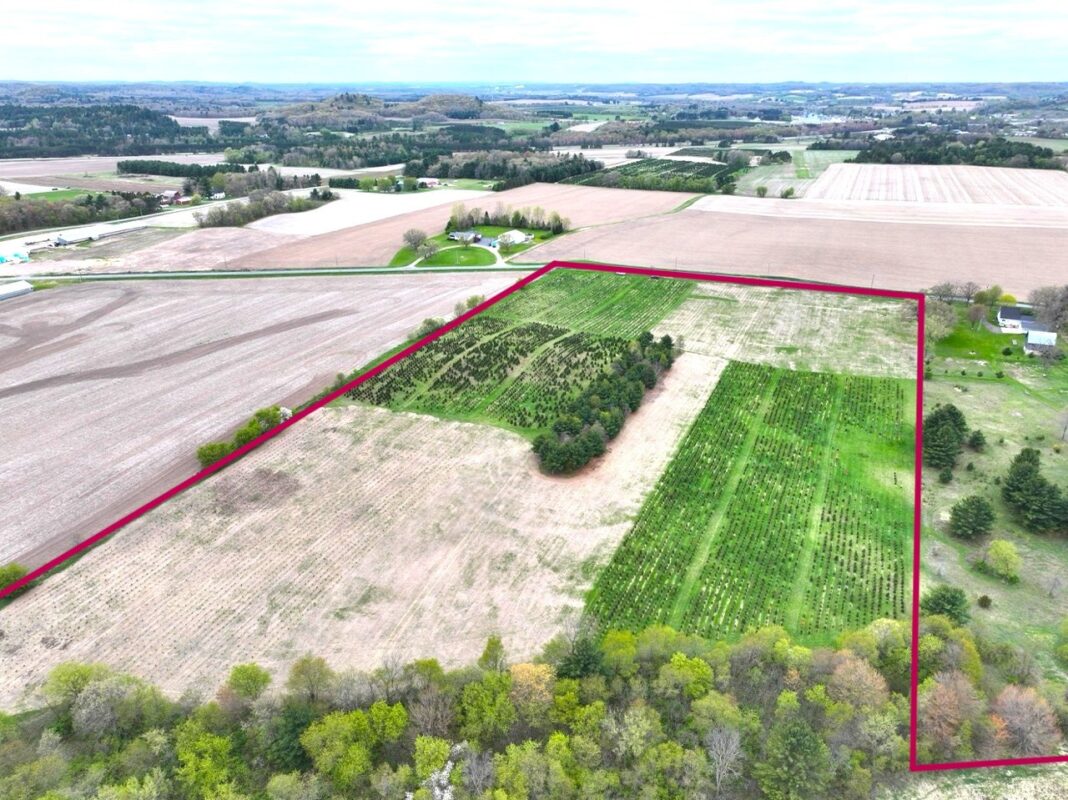 60 acres Pole Grove Road, Hixton WI 54635 - Land house for sale - MLS #1600886 - image4