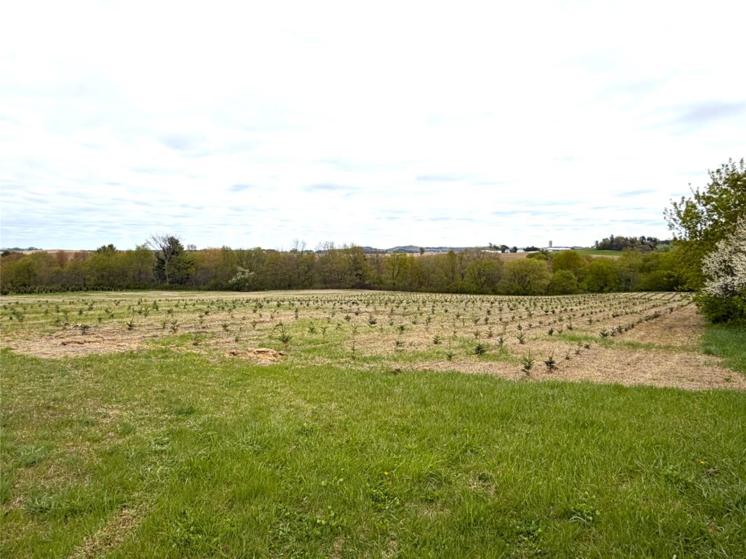 60 acres Pole Grove Road, Hixton WI 54635 - Land house for sale - MLS #1600886 - image6