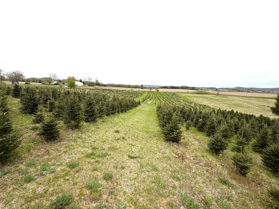 60 acres Pole Grove Road, Hixton WI 54635 - Land house for sale - MLS #1600886 - image8