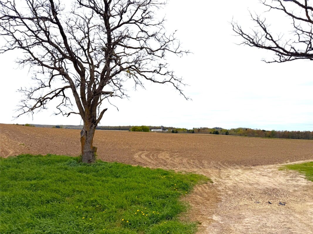 60 acres Pole Grove Road, Hixton WI 54635 - Land house for sale - MLS #1600886 - image9
