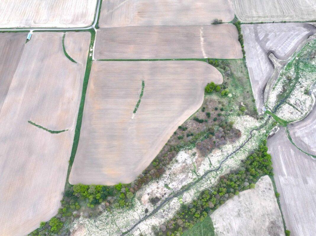 60 acres Pole Grove Road, Hixton WI 54635 - Land house for sale - MLS #1600886 - image10