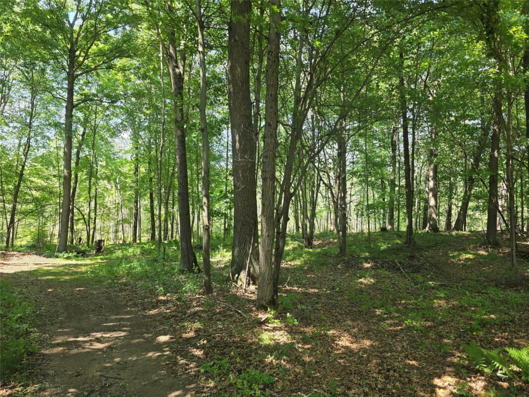 660 27 3/4 Street, Chetek WI 54728 - Residential house for sale - MLS #1603625 - image11