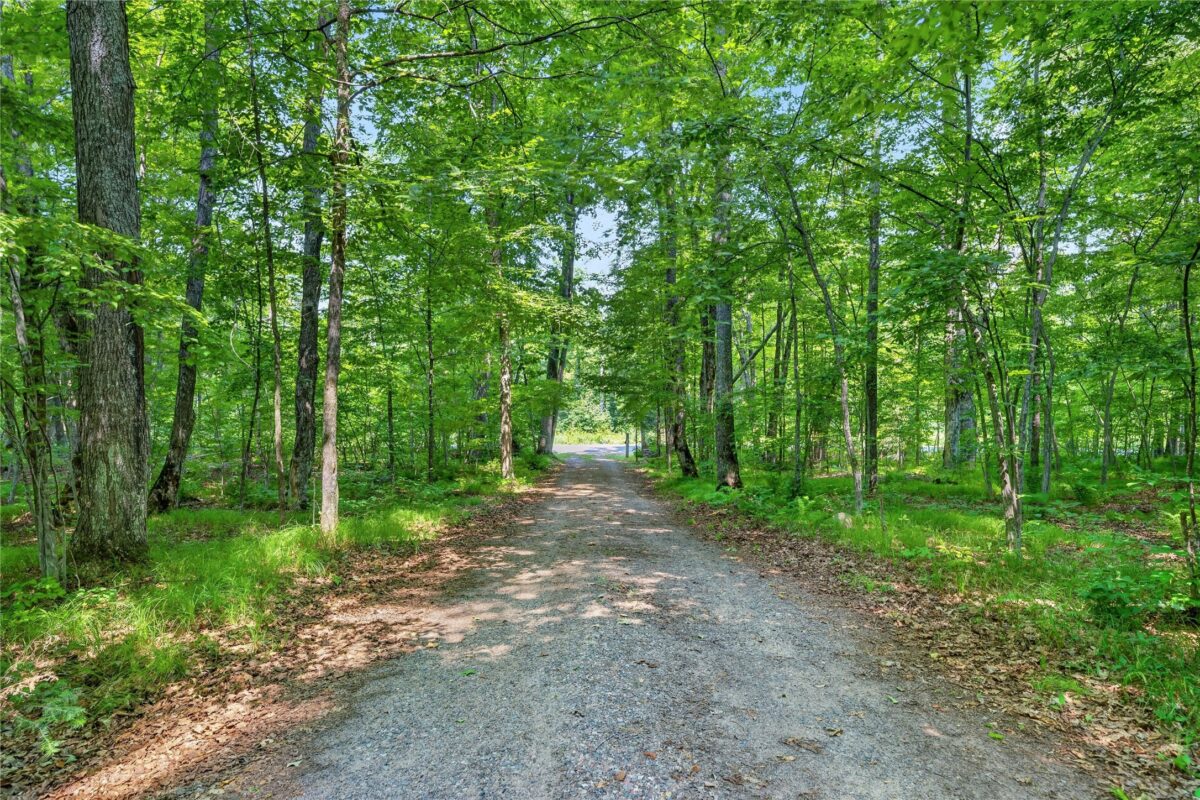 6925W Hemlock Haven Road, Winter WI 54896 - Land house for sale - MLS #1603697 - image13