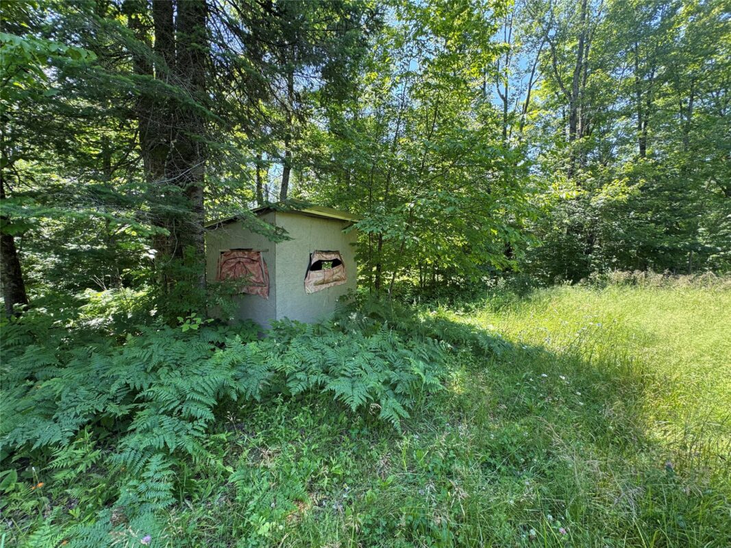 7154 Mc Dermott Road, Winter WI 54896 - Residential house for sale - MLS #1602865 - image44