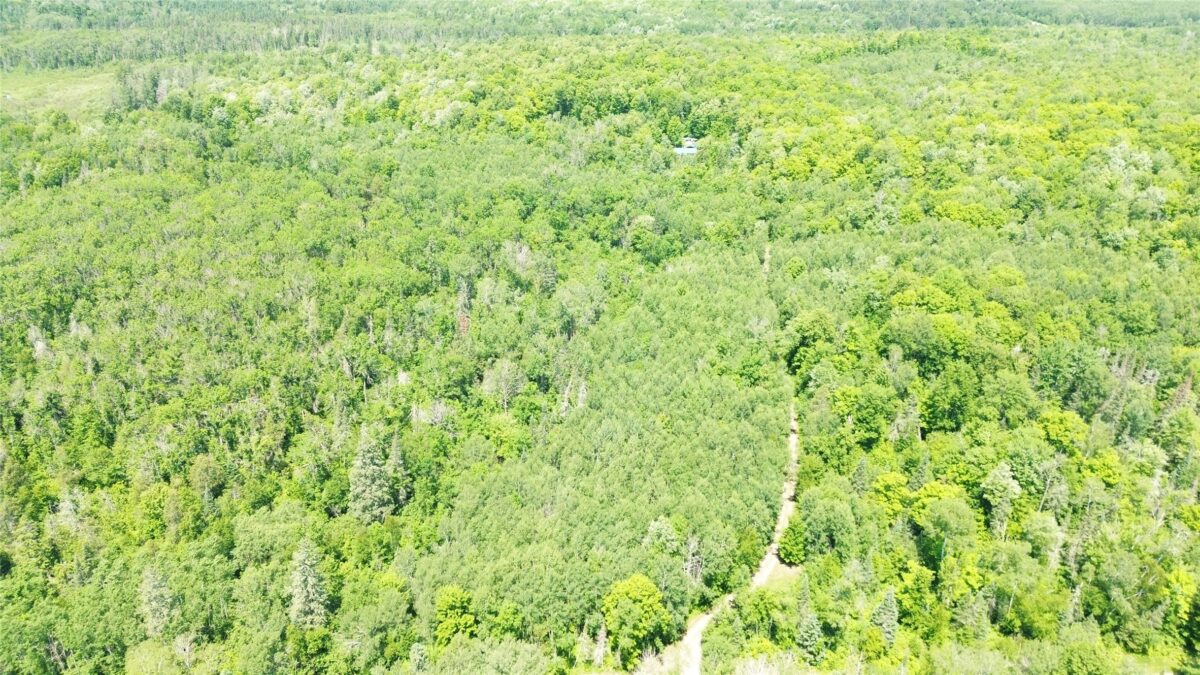 7154 Mc Dermott Road, Winter WI 54896 - Residential house for sale - MLS #1602865 - image58