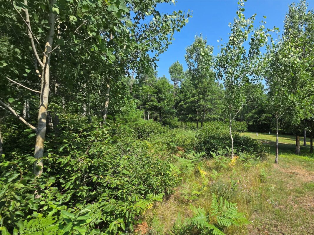 7214 Old Bass Lake Road, Minong WI 54859 - Residential house for sale - MLS #1603652 - image6