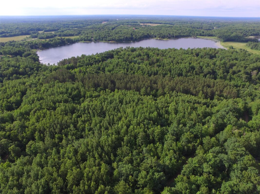 7230 County Road U, Danbury WI 54830 - Land house for sale - MLS #1602895 - image9
