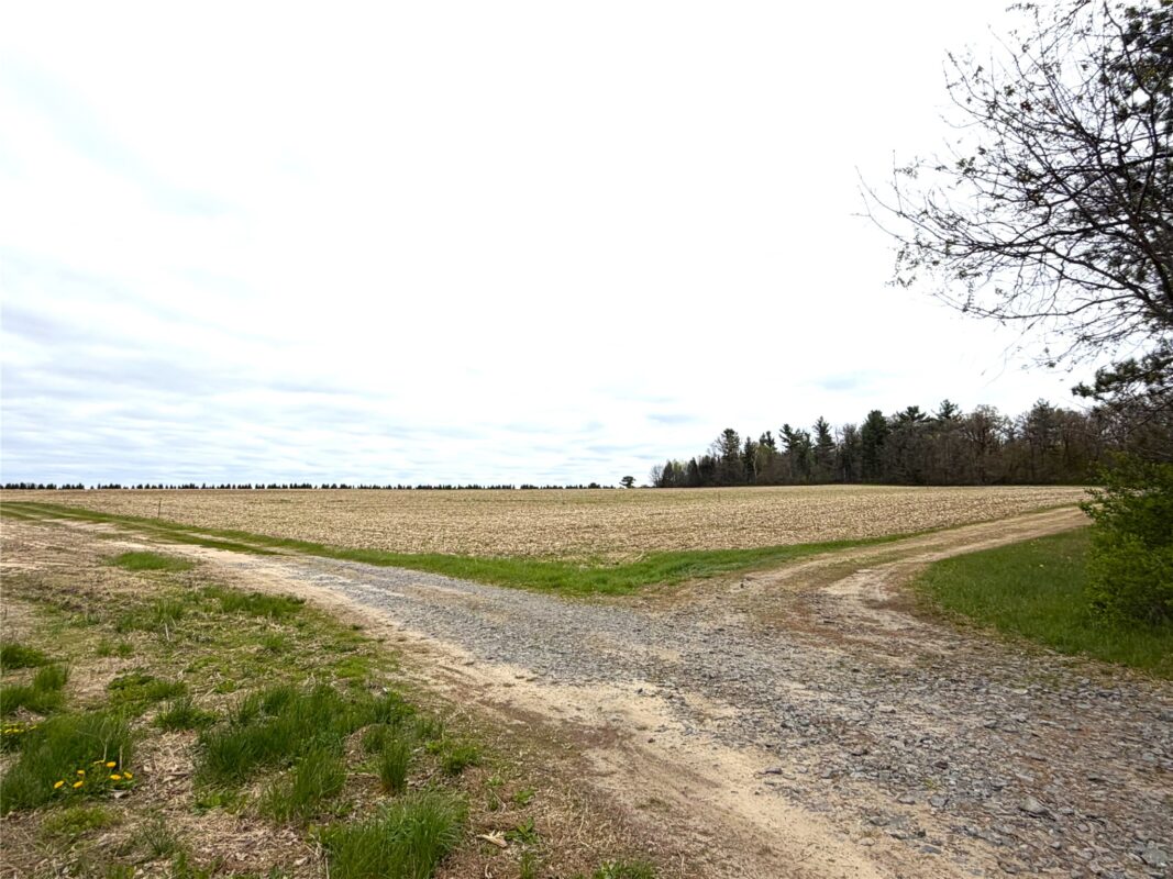 74 acres Sand Prairie Road, Hixton WI 54635 - Land house for sale - MLS #1600885 - image2