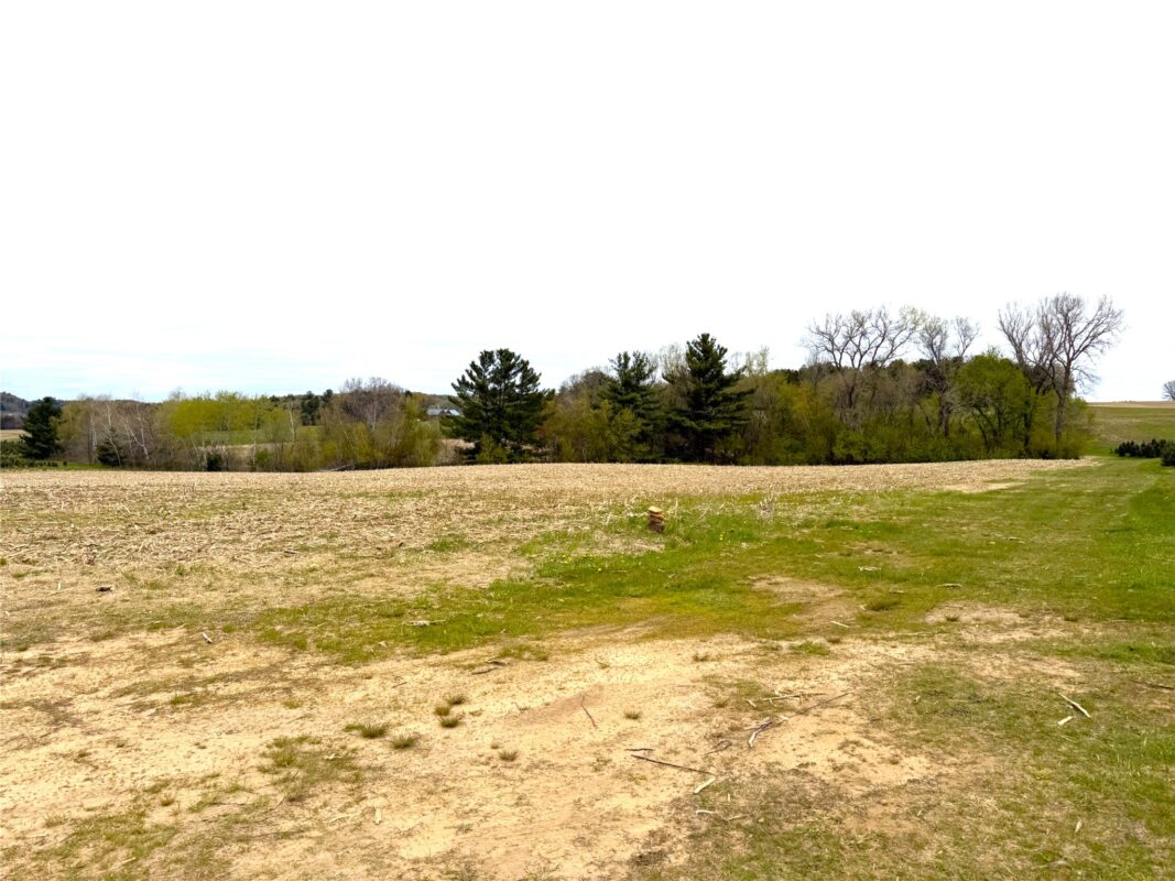 74 acres Sand Prairie Road, Hixton WI 54635 - Land house for sale - MLS #1600885 - image11