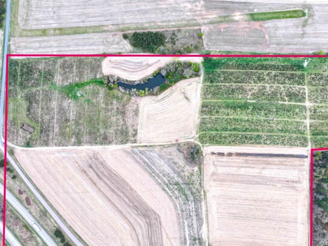 74 acres Sand Prairie Road, Hixton WI 54635 - Land house for sale - MLS #1600885 - image13