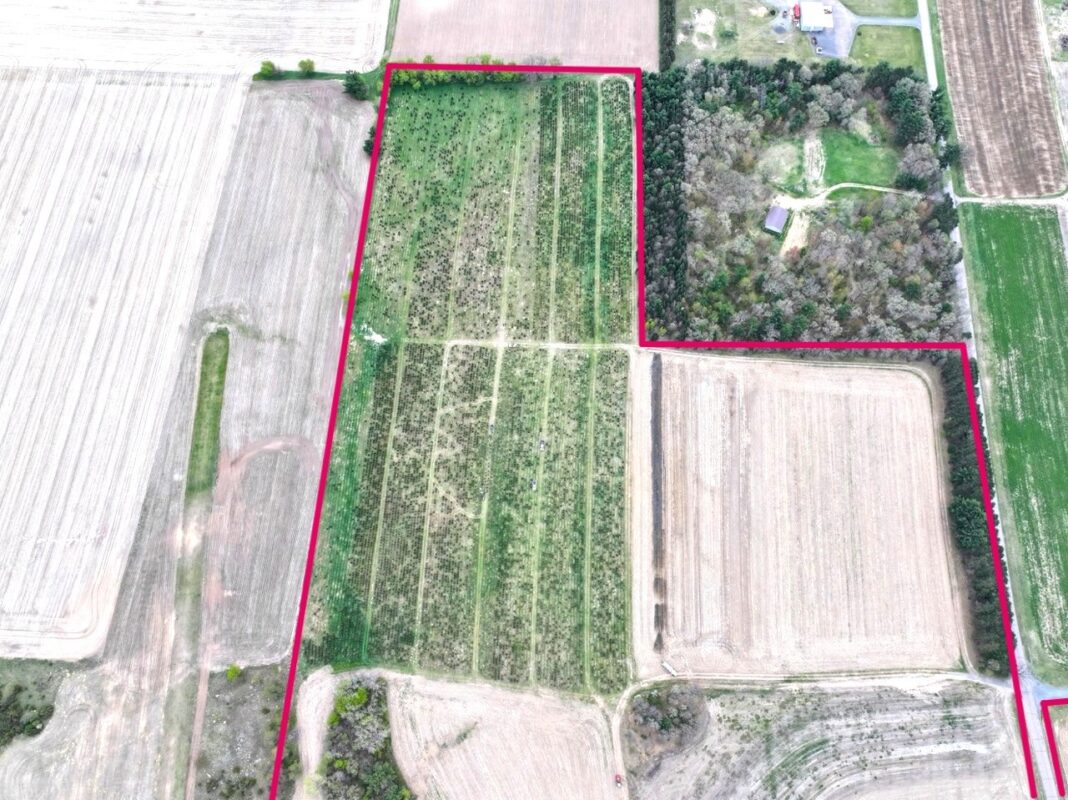 74 acres Sand Prairie Road, Hixton WI 54635 - Land house for sale - MLS #1600885 - image14