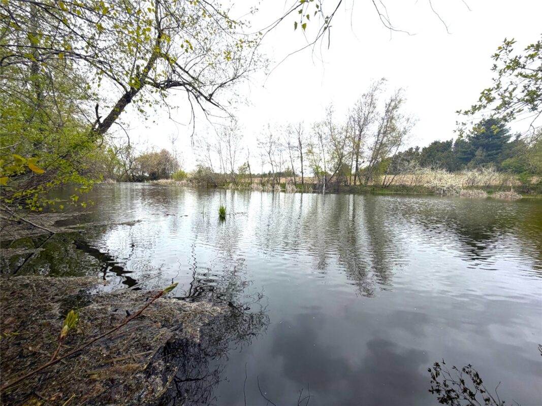 74 acres Sand Prairie Road, Hixton WI 54635 - Land house for sale - MLS #1600885 - image3