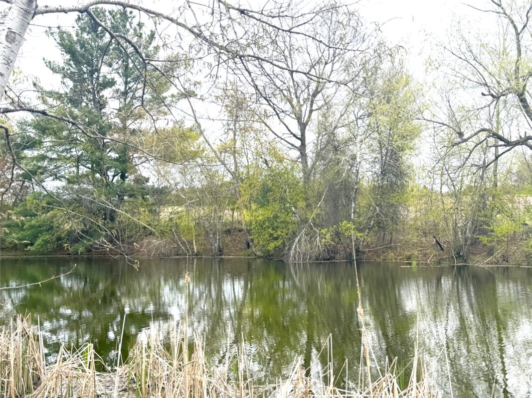 74 acres Sand Prairie Road, Hixton WI 54635 - Land house for sale - MLS #1600885 - image4