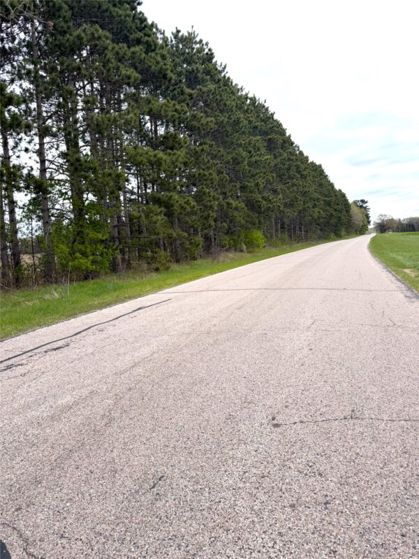 74 acres Sand Prairie Road, Hixton WI 54635 - Land house for sale - MLS #1600885 - image5