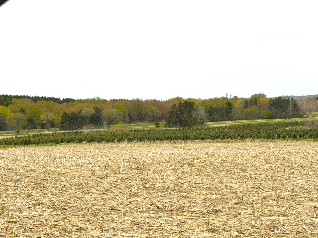 74 acres Sand Prairie Road, Hixton WI 54635 - Land house for sale - MLS #1600885 - image6