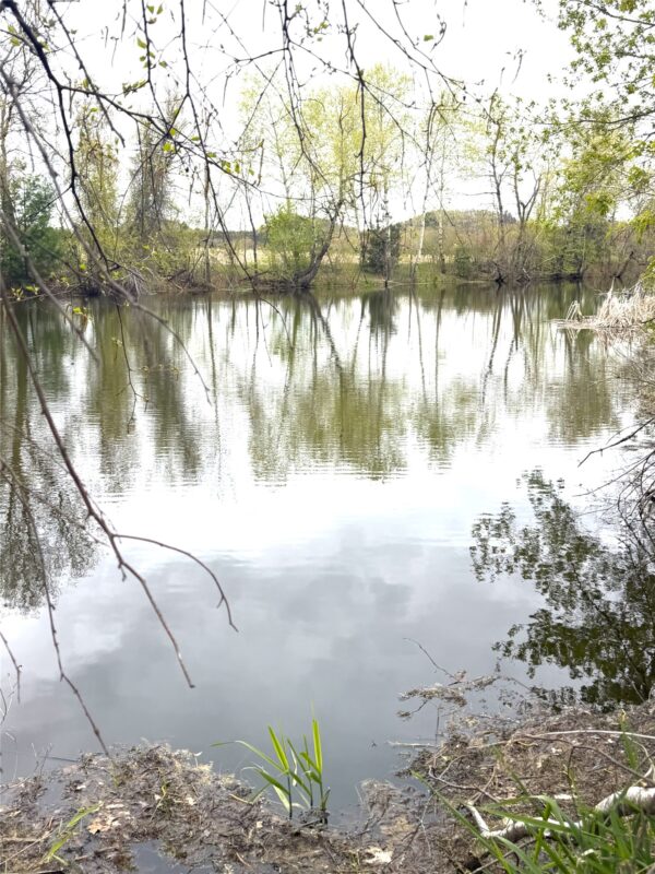 74 acres Sand Prairie Road, Hixton WI 54635 - Land house for sale - MLS #1600885 - image9