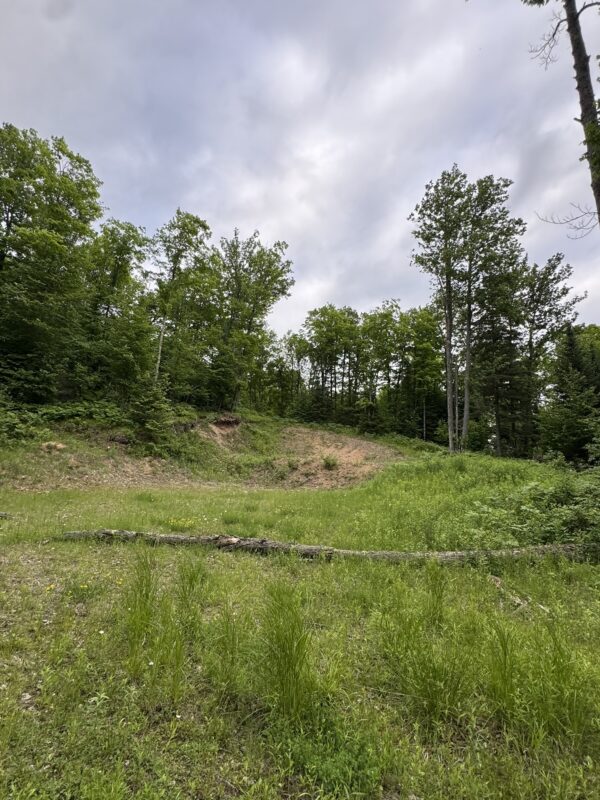 75134 West Road, Butternut WI 54514 - Land house for sale - MLS #1603092 - image11