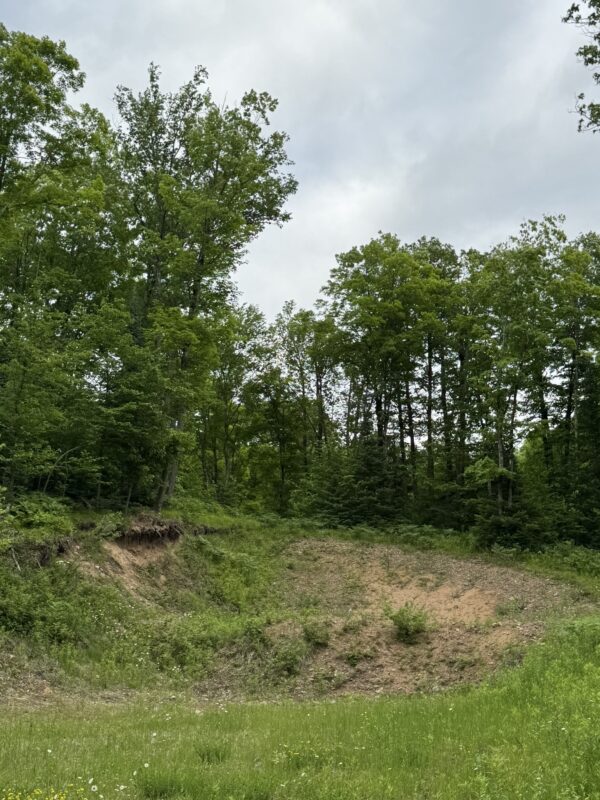 75134 West Road, Butternut WI 54514 - Land house for sale - MLS #1603092 - image12