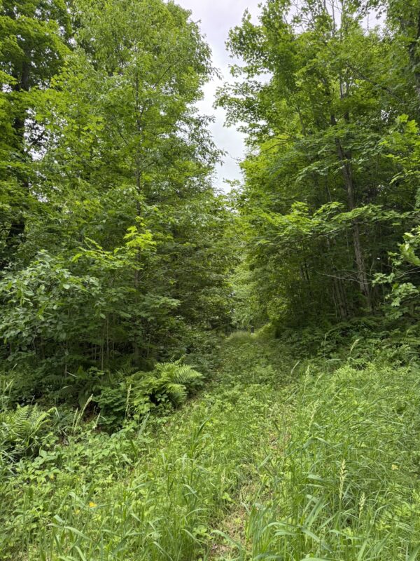 75134 West Road, Butternut WI 54514 - Land house for sale - MLS #1603092 - image13